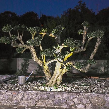 *****Pool House With Beautiful Seaview,Big Garden And Old Tavern***** Rijeka Exteriér fotografie